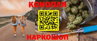 стаф Бердск