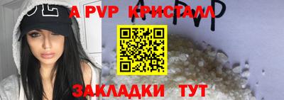 стаф Бердск