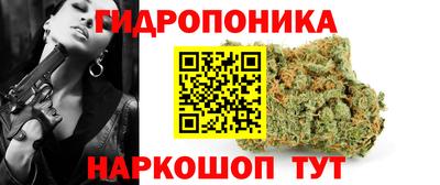 стаф Бердск