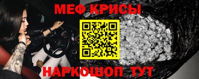 стаф Бердск