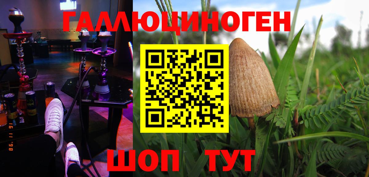 Белая Калитва  Псилоцибиновые грибы MAGIC MUSHROOMS  Вход с VPN  Галлюциногенные грибы GOLDEN TEACHER 