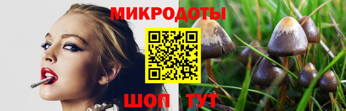 Псилоцибиновые грибы ЛСД Белая Калитва